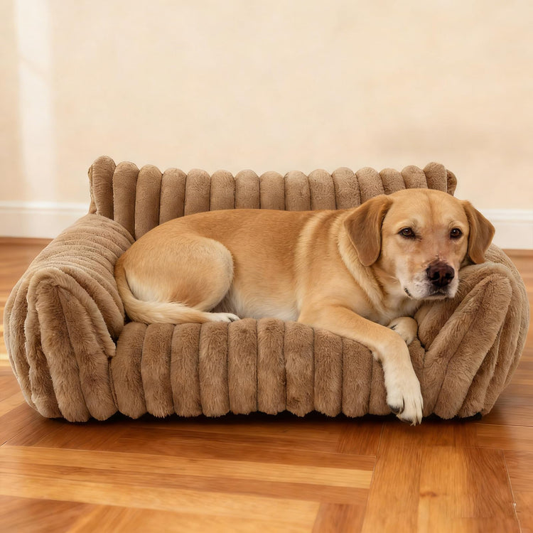 Cat Couch for Pets - Cute Cat Beds for Indoor Cats with Removable Cover, Washable Soft Corduroy Plush, Fluffy Supportive Pet Sofa Chair for Small Dog & Cats, 30 inch Brown
