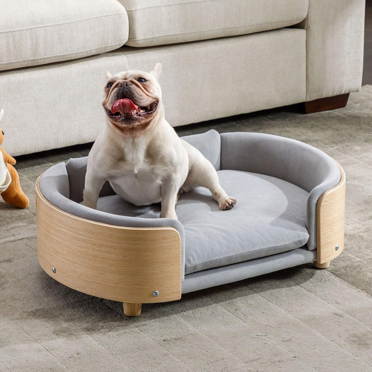 Elevated Dog Bed Pet Sofa with Solid Wood Legs and Bent Soft Backrest, Pet Cat Stool Bed with Velvet Cushion,for Small and Medium Size Dogs Kitten, Dark Gray, Small Size