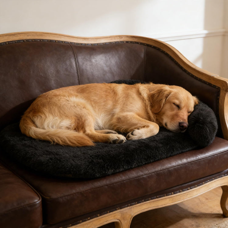 Orthopedic Dog Bed with Egg-Crate Base, Calming Dog & Cat Beds Long Plush with Raised Edges, Spine Friendly Pet Sleeping Mat for Small Medium Dogs, Machine Washable (Oval, Beige 26"x20")