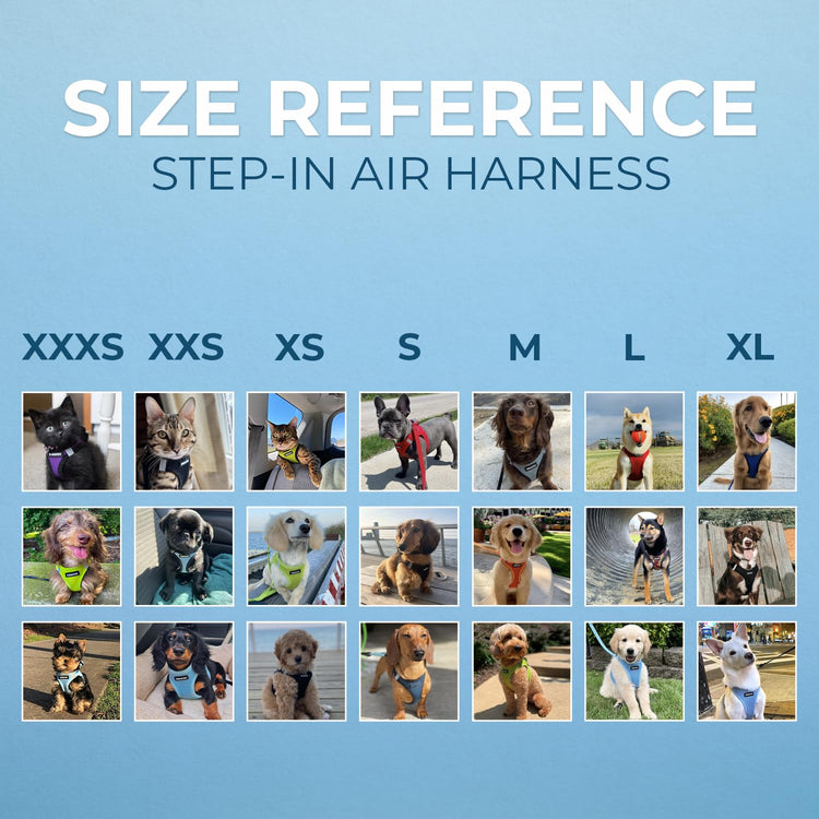 Best Pet Supplies - All Weather Mesh / Plush, Reflective, No Pull Harness for Small, Medium Dogs, Cats - Secure with Hook & Loop Fastener, Buckle, Double D-Rings - Baby Blue/Black Trim, XL