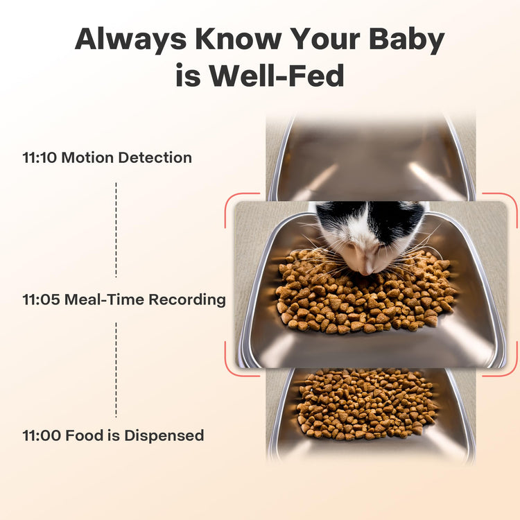 Automatic Dog Feeder with Elevated Stand - 7L Cat Food Dispenser with Large Food Tray, Timed Auto Cat Feeder for Dry Food, 6 Meals Per Day, No-Jam, Freshness Design, Detachable for Easy Clean