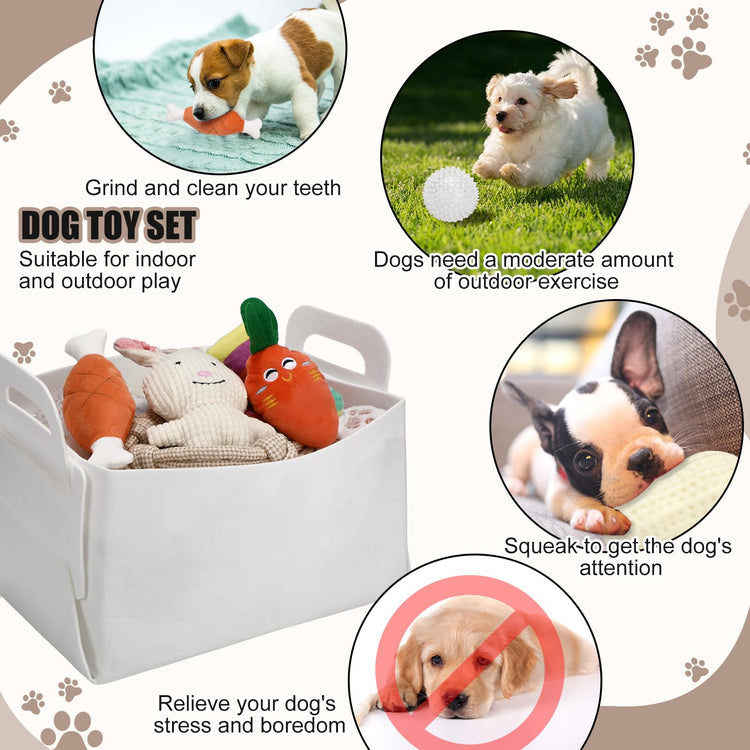 Abbylike 50 Pcs Puppy Supplies Starter Kit for Small Dogs Puppy Essentials Includes Leash, Bowls, Teeth Brushes, Water Bottle, and More Accessories for Dogs Pet Day Welcome Gift(Purple)