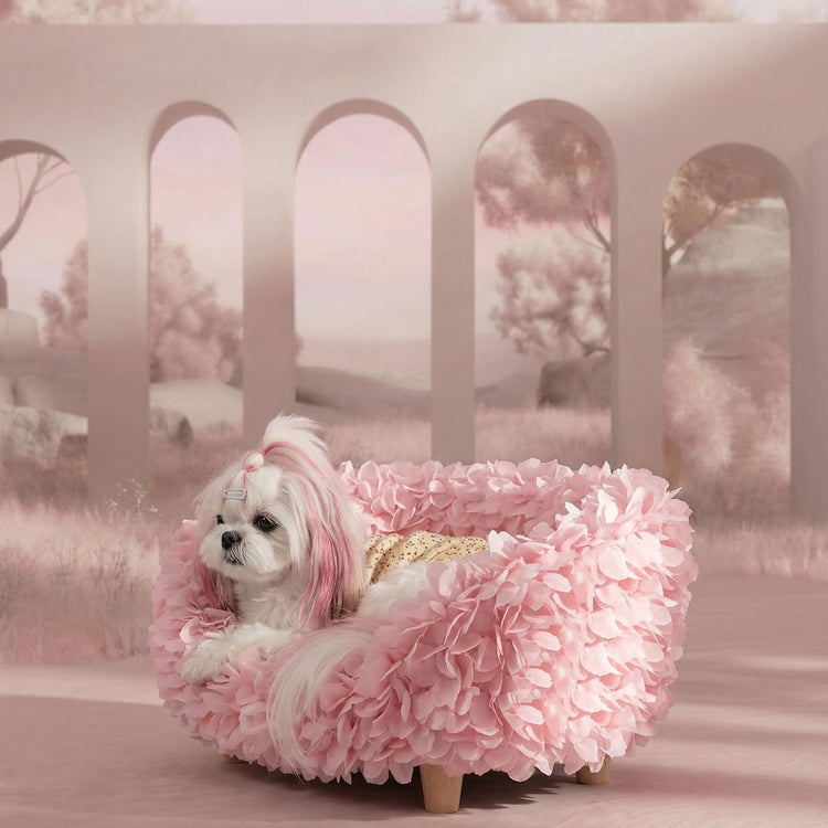 halinfer Modern Pet Sofa for Small to Medium Cats and Dogs, Up to 20 Pounds, Living Room and Bedroom Pet Furniture Bed