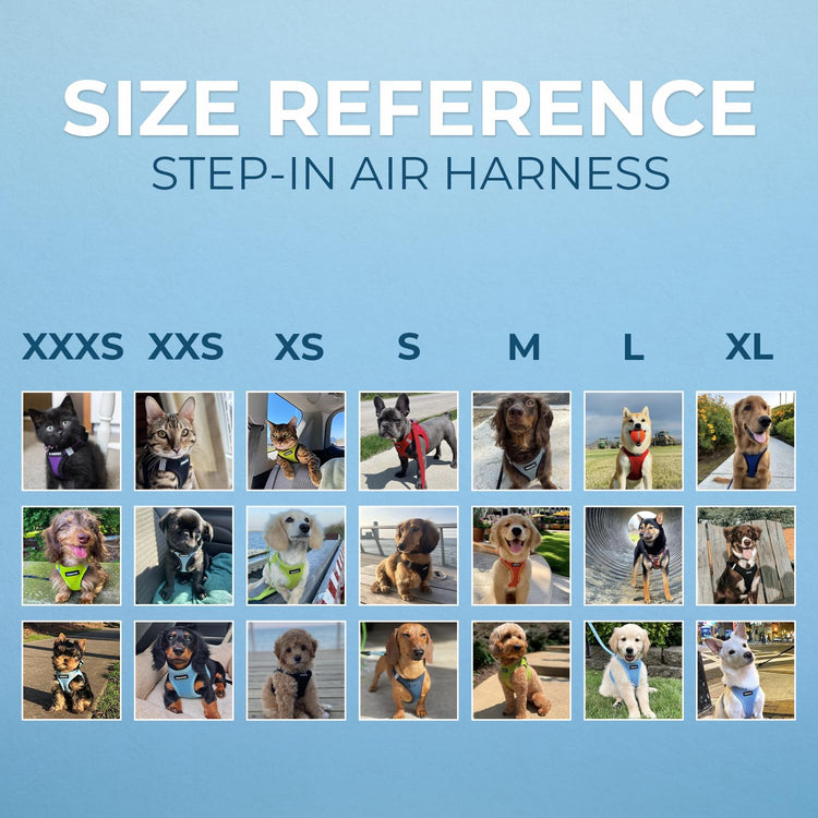 Best Pet Supplies - All Weather Mesh / Plush, Reflective, No Pull Harness for Small, Medium Dogs, Cats - Secure with Hook & Loop Fastener, Buckle, Double D-Rings - Baby Blue/Black Trim, XL
