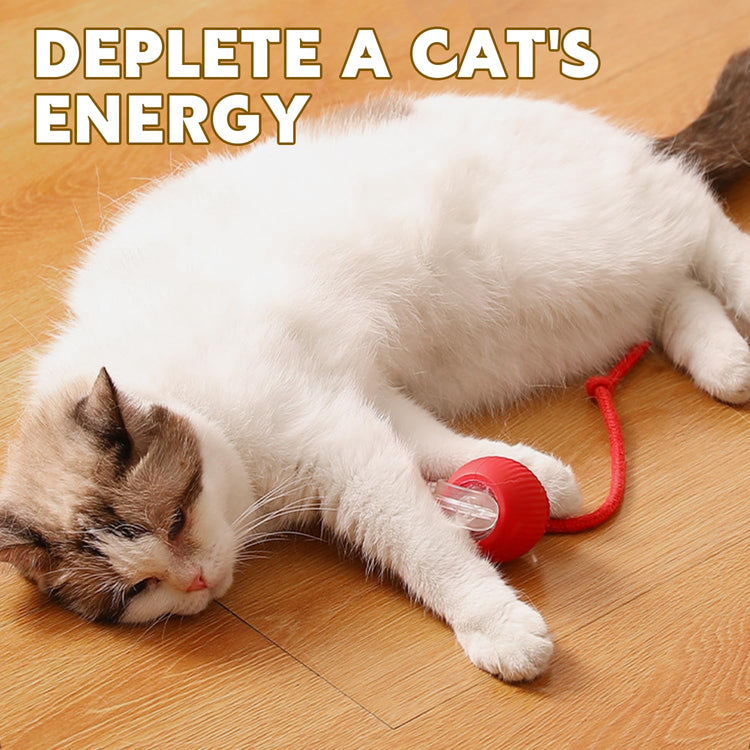 Chewie Viral 360 Smart Automatic Rolling Pet Ball - Interactive Dog & Cat Toy (Green)