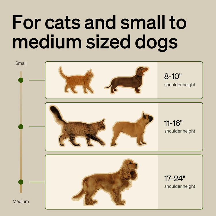 PETLIBRO Automatic Cat Feeder with Camera, 1080P HD & Night Vision, 5GHz/2.4GHz WiFi & Cam Smart Pet Feeder with App Control, 2-Way Audio, Motion Alerts for Cats & Dogs, Stainless Steel Single Tray