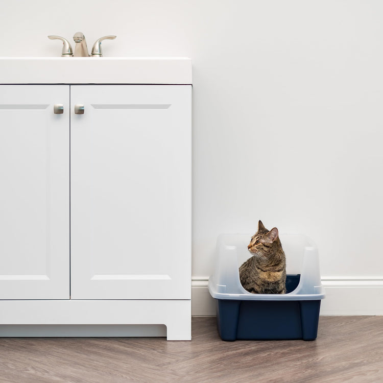 IRIS USA Cat Litter Box Large Open Top with High Sided Walls Tall Scatter Shield Scoop Included Easy Clean Plastic Pan Stain Resistant for Big Cats Kittens Indoor Multi-Cat Households