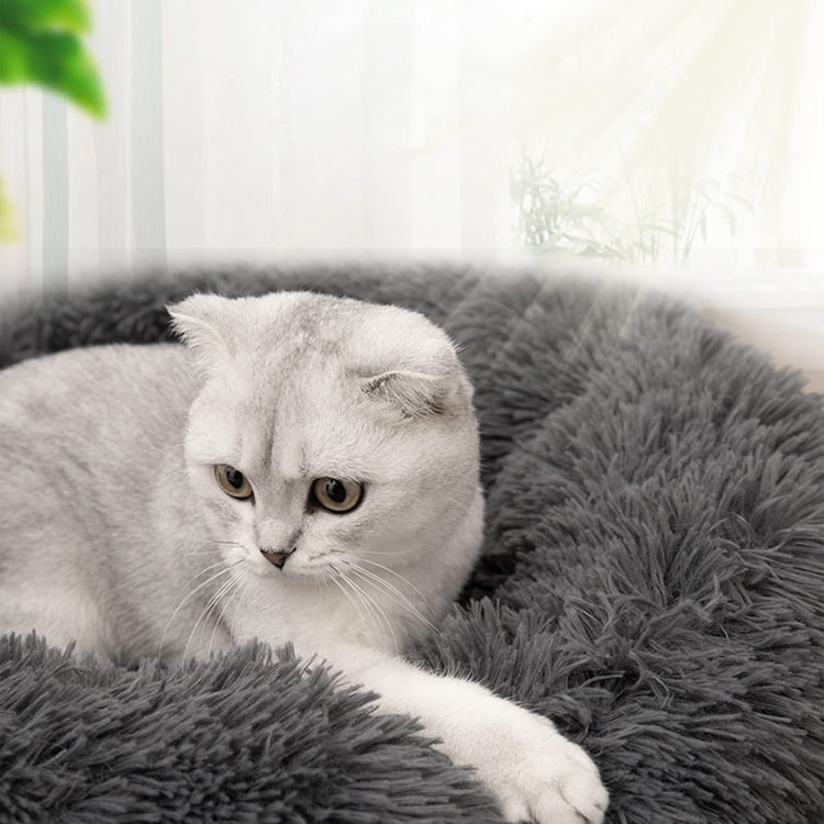 Dog Bed for Small Medium Large Dogs Cats, 20 inch Calming Washable-Round Cozy Soft Pet Bed for Puppy and Kitten with Slip-Resistant Bottom