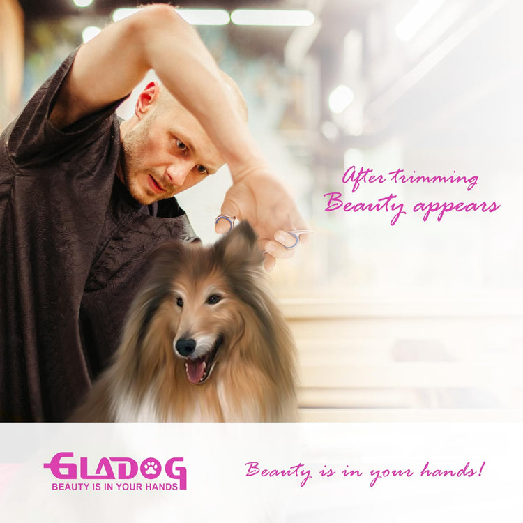 GLADOG Professional 5 in 1 Dog Grooming Scissors Set with Safety Round Tips, Sharp and Heavy-duty Pet Grooming Shears for Cats