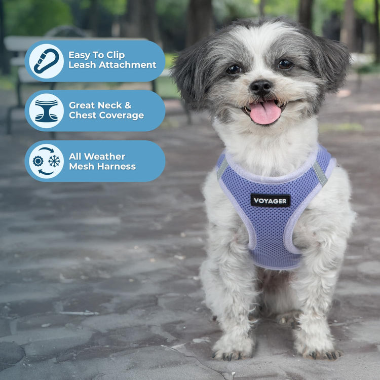 Best Pet Supplies - All Weather Mesh / Plush, Reflective, No Pull Harness for Small, Medium Dogs, Cats - Secure with Hook & Loop Fastener, Buckle, Double D-Rings - Baby Blue/Black Trim, XL