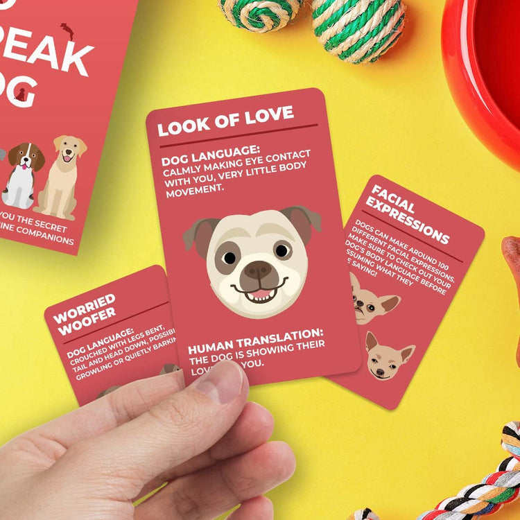Gift Republic How to Speak Dog 100 Cards Fun for Lovers Learn What Your Puppy is Saying Behaviour Guidance Doggie Language