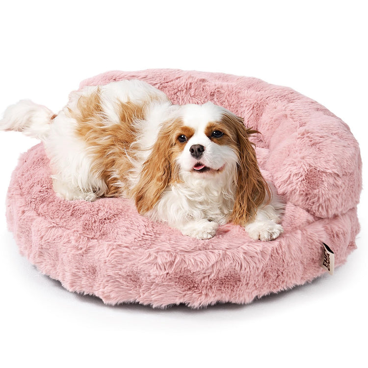 EHEYCIGA Soft Cat Couch Bed for Indoor Cats, Fluffy Small Dog Bed with Removable Washable Cover, Bolster Pet Sofa, Waterproof and Non-Slip, 23" x 23"x 7", Cream