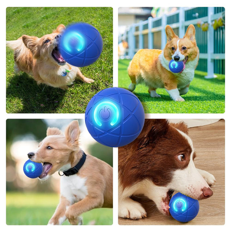 Interactive Dog Toys for Small Dogs, 2026 New Dog Balls Automatic Rolling Ball for Puppy Small Medium Dog and Cat, Self Moving Jumping Bouncing and Rotating Pets Toy to Keep Them Busy (Blue)