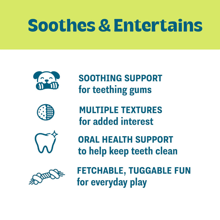 Cutie Chewies Hedgehog Dental Dog Chew Toy — Multi-Textured, Massages Gums, Floats & Bounces for Teething Puppies & Small Dogs, 5" x 3.5" x 1"
