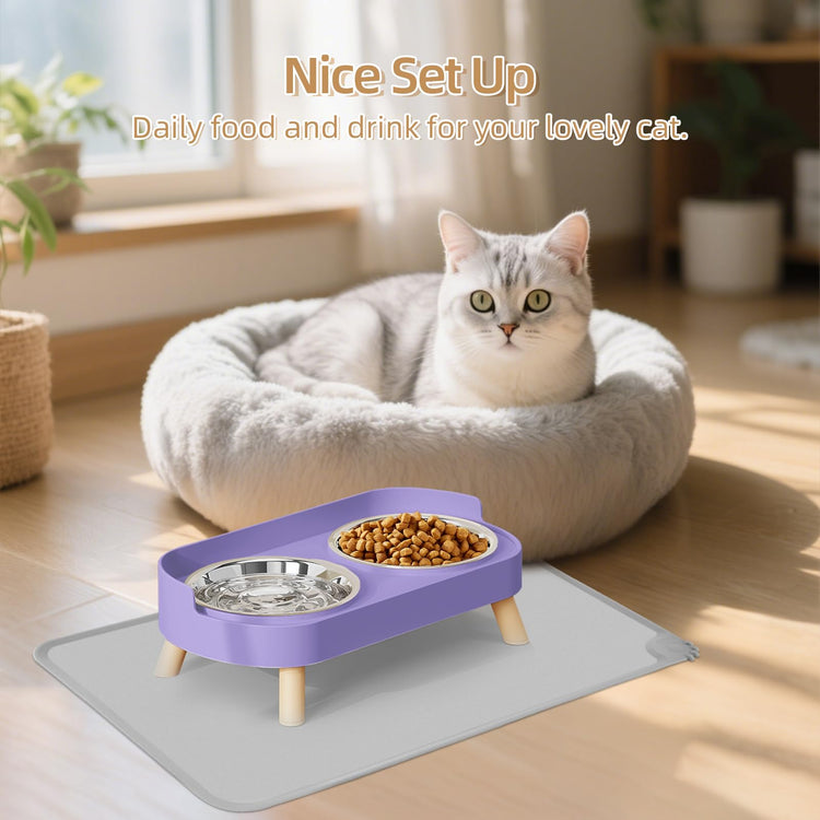 Elevated Cat Bowl, Raised Cat Food and Water Bowl Set for Indoor Cats, Splash Proof with 2 Stainless Steel Pet Food Bowls for Cats and Puppies, Whisker Fatigue and Dishwasher Safe - White