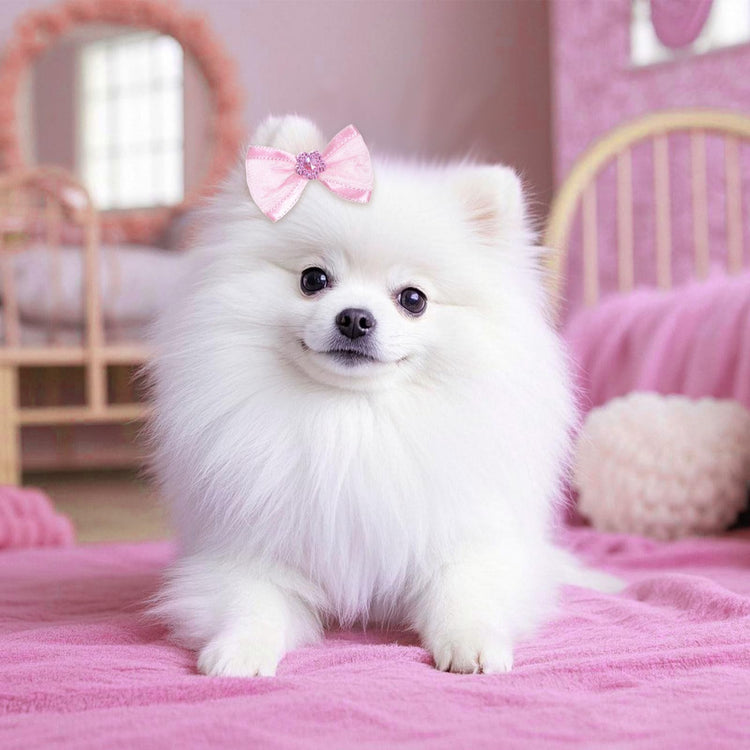 20 PCS Cute Dog Hair Bows with Rubber Bands Elastic Handmade Mix Style Lace Rhinestone Pearls for Furry Puppy Cat Pet Girl, Pink