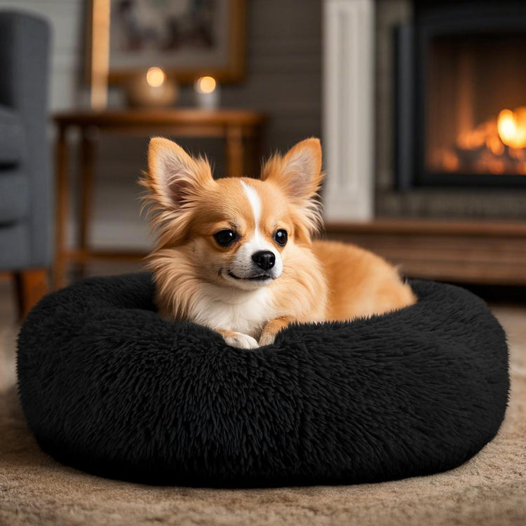 Hoewina Dog & Cat Bed for Indoor Cats, 20in Calming Donut Bed for Puppy and Kitten, Washable Round Fluffy Pet Bed for Small Medium Dogs and Cats (Light Grey)