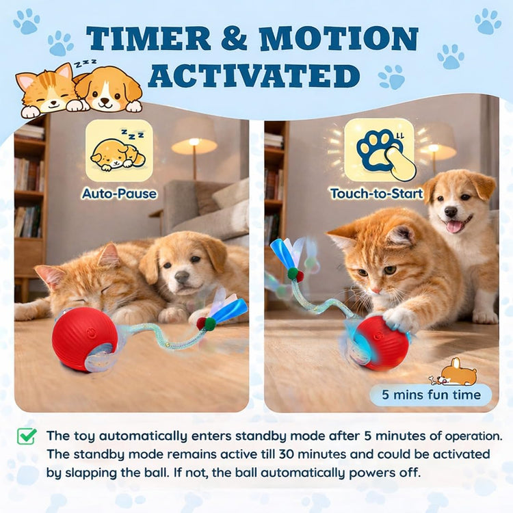 Interactive Cat Toys for Indoor Cats – Motion Activated Automatic Cat Ball with SpeedyTail, 3 Play Modes, Rechargeable LED Rolling Ball, Kitten Toys for Bored Indoor Cats, Smart Cat Enrichment Toy