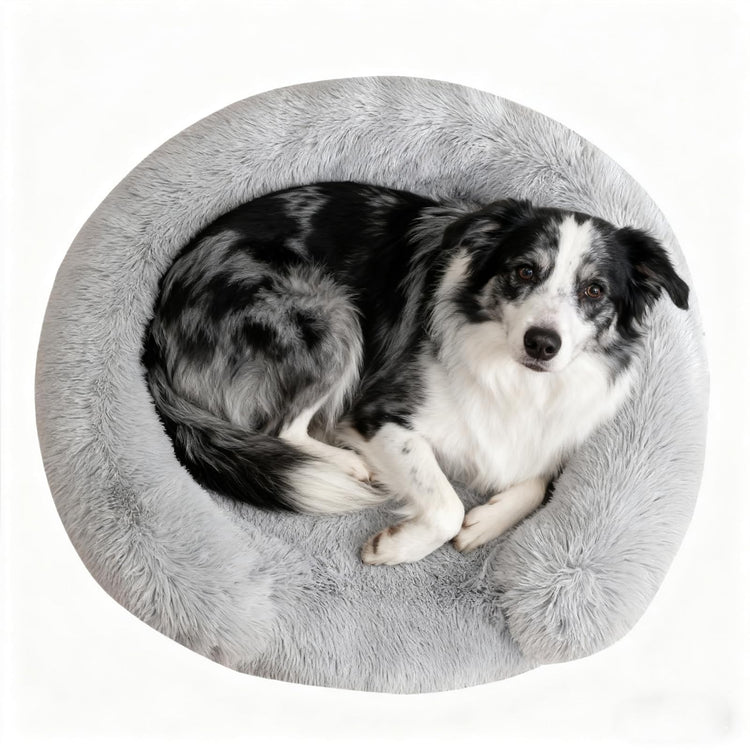 Orthopedic Dog Bed with Egg-Crate Base, Calming Dog & Cat Beds Long Plush with Raised Edges, Spine Friendly Pet Sleeping Mat for Small Medium Dogs, Machine Washable (Oval, Beige 26"x20")
