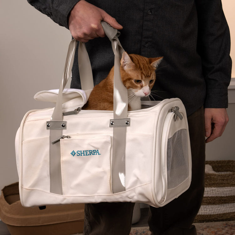 Sherpa Delta Airlines Travel Pet Carrier, Airline Approved & Guaranteed On Board - Black, Medium