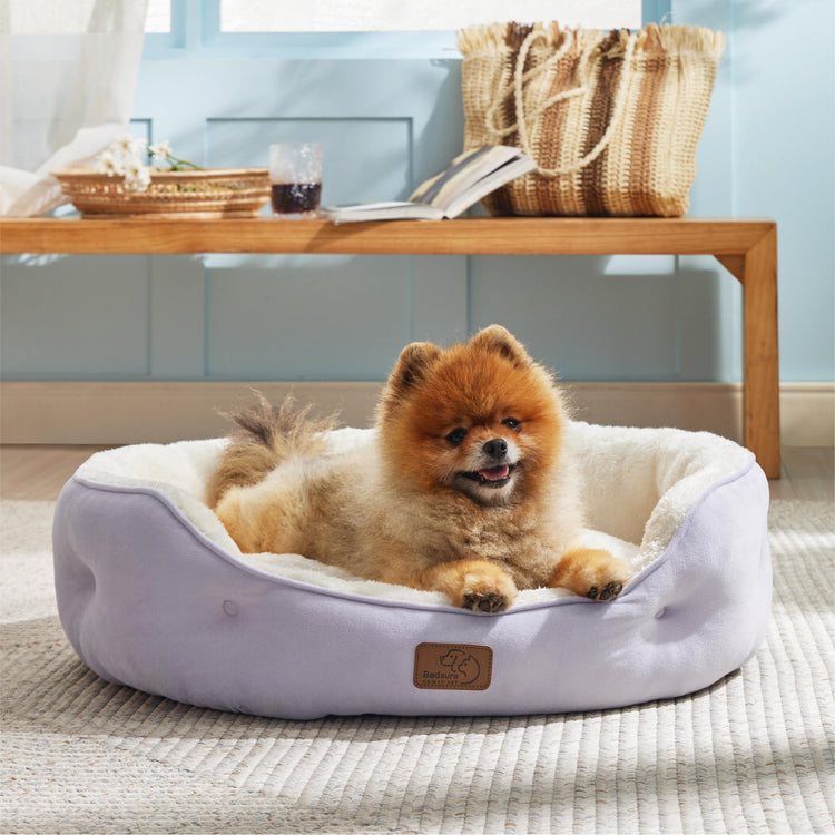 Bedsure Dog Beds for Small Dogs - Round Medium Cat Beds for Indoor Cats, Washable Pet Bed for Puppy and Kitten with Slip-Resistant Bottom, 25 Inches, Taupe