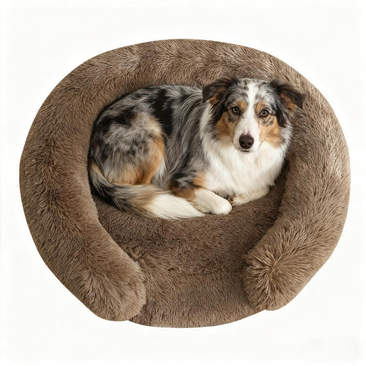 Orthopedic Dog Bed with Egg-Crate Base, Calming Dog & Cat Beds Long Plush with Raised Edges, Spine Friendly Pet Sleeping Mat for Small Medium Dogs, Machine Washable (Oval, Beige 26"x20")