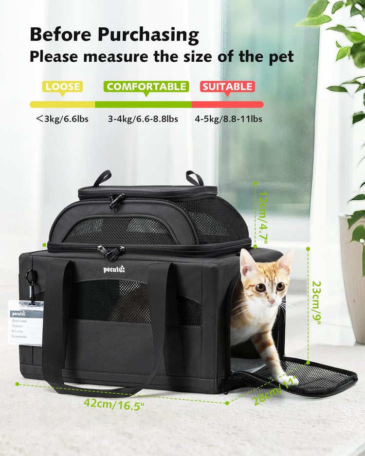 Pecute Expandable Pet Carrier Airline Approved Dog Cat Carrier, Breathable Soft-Sided with Locking Zippers, Pet Travel Bag for Small Dog Cat Anti-Scratch Mesh Leakproof Pee Pad (Dark Gray)