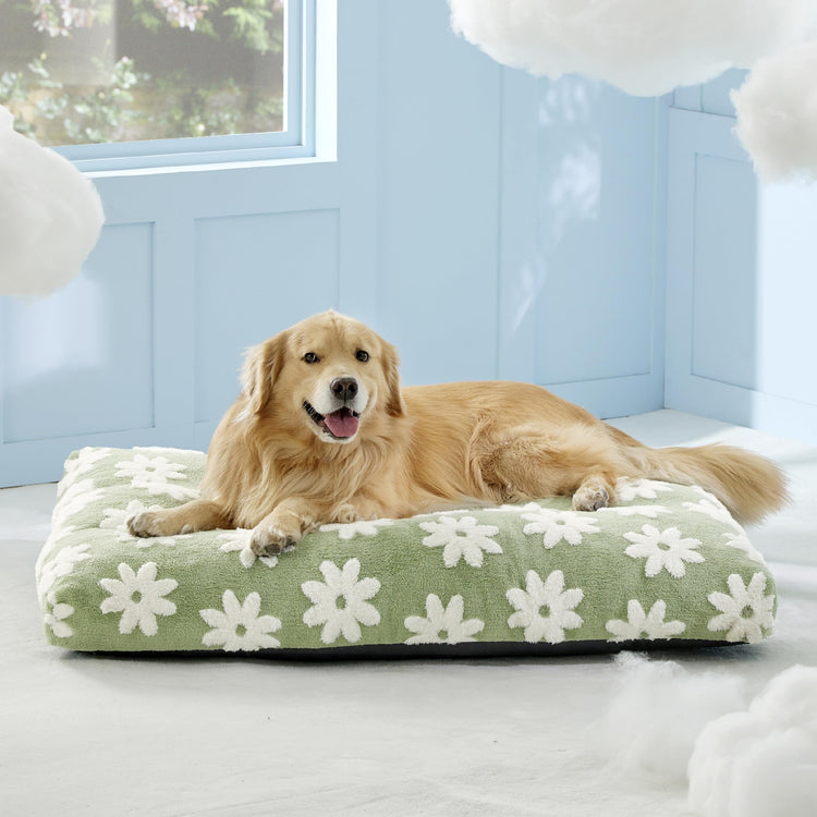LE SURE Dog Beds Medium Size-Thick Shredded Chopped Foam Pet Bed as Gift for Indoor with Removable Cover, Cute Modern Fuzzy Plush & Anti Slip Bottom, Green