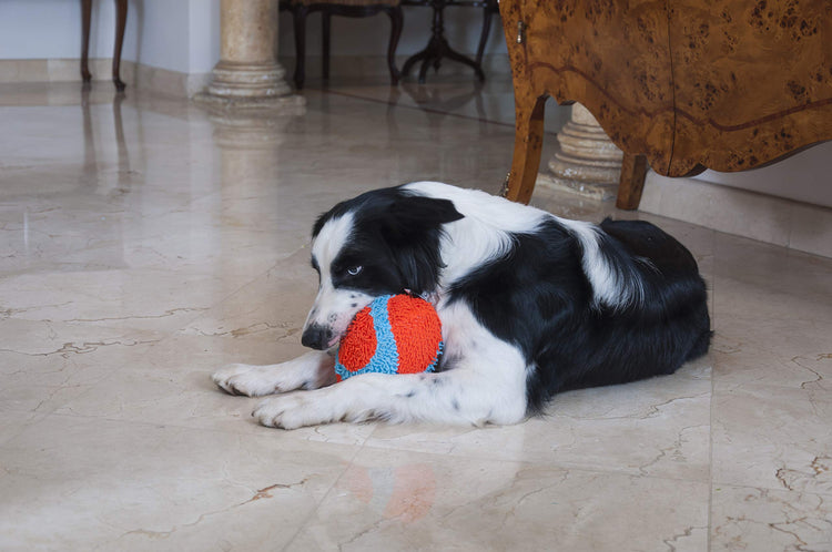 Chuckit! Indoor Fetch Roller Toy for Dogs - Interactive Dog Toys for Boredom, Orange and Blue