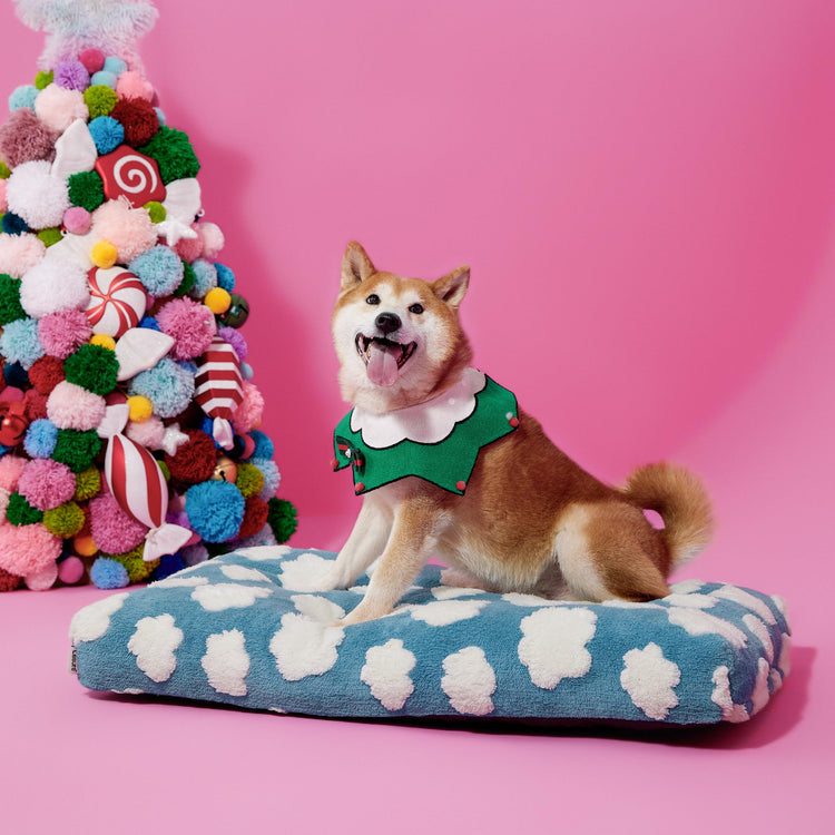 LE SURE Dog Beds Medium Size-Thick Shredded Chopped Foam Pet Bed as Gift for Indoor with Removable Cover, Cute Modern Fuzzy Plush & Anti Slip Bottom, Green