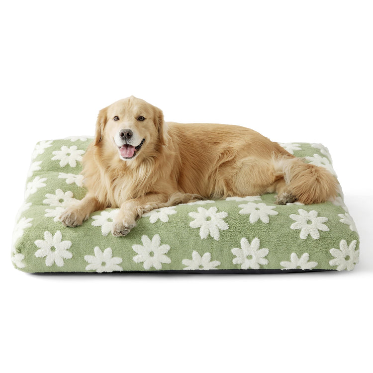 LE SURE Dog Beds Medium Size-Thick Shredded Chopped Foam Pet Bed as Gift for Indoor with Removable Cover, Cute Modern Fuzzy Plush & Anti Slip Bottom, Green