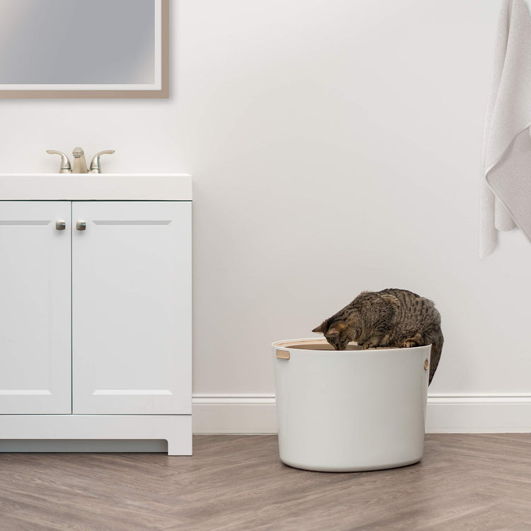 IRIS USA Cat Litter Box Large Open Top with High Sided Walls Tall Scatter Shield Scoop Included Easy Clean Plastic Pan Stain Resistant for Big Cats Kittens Indoor Multi-Cat Households