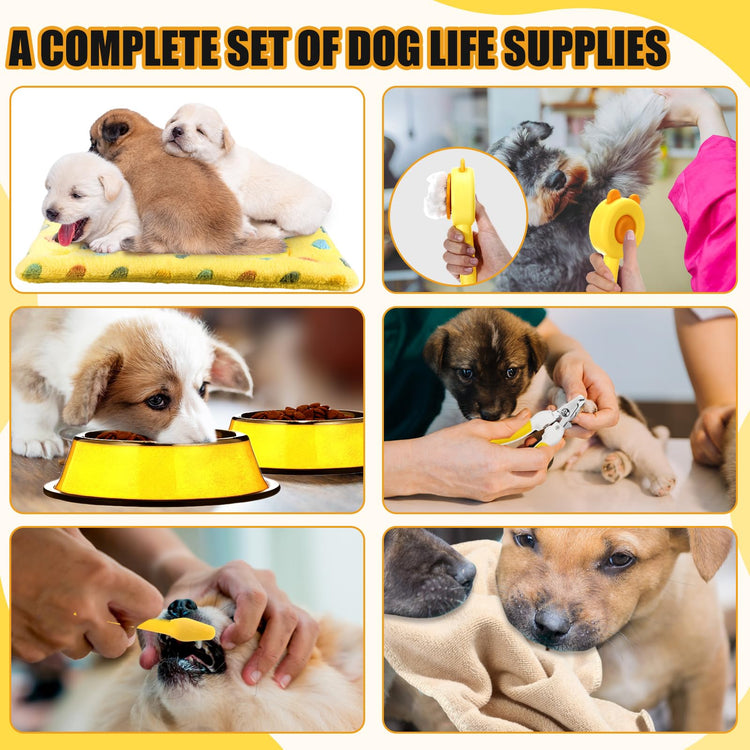 Abbylike 50 Pcs Puppy Supplies Starter Kit for Small Dogs Puppy Essentials Includes Leash, Bowls, Teeth Brushes, Water Bottle, and More Accessories for Dogs Pet Day Welcome Gift(Purple)