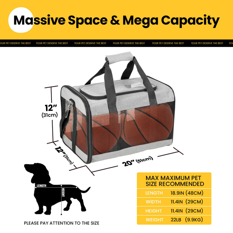 Conlun Cat Carrier Airline Approved, Soft-Sided Dog Carrier with Inner Safety Leash, Pet Transport Carrier for Small-Medium Cats Puppies up to 15 Lbs, Collapsible Travel Kitten Carrier Bag -BlackM