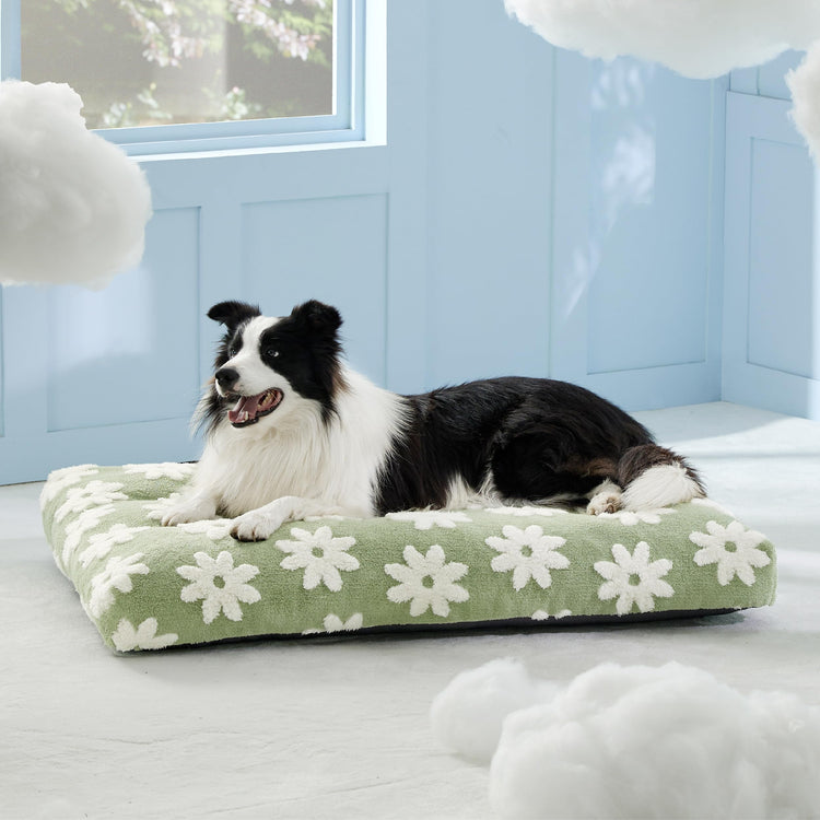 LE SURE Dog Beds Medium Size-Thick Shredded Chopped Foam Pet Bed as Gift for Indoor with Removable Cover, Cute Modern Fuzzy Plush & Anti Slip Bottom, Green