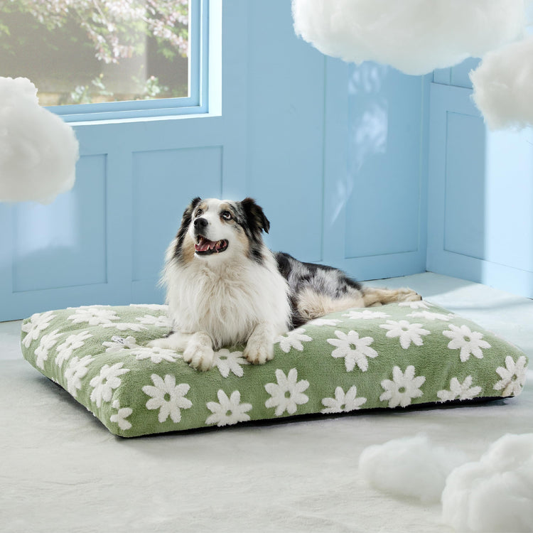 LE SURE Dog Beds Medium Size-Thick Shredded Chopped Foam Pet Bed as Gift for Indoor with Removable Cover, Cute Modern Fuzzy Plush & Anti Slip Bottom, Green