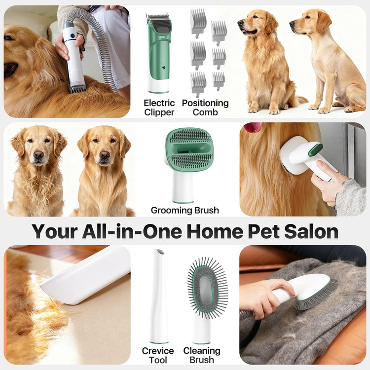 Buenkee Dog Grooming Kit with Vacuum, 15000Pa Pet Hair Clipper and Shedding Brush, 50dB Low Noise, 2L Capacity, White