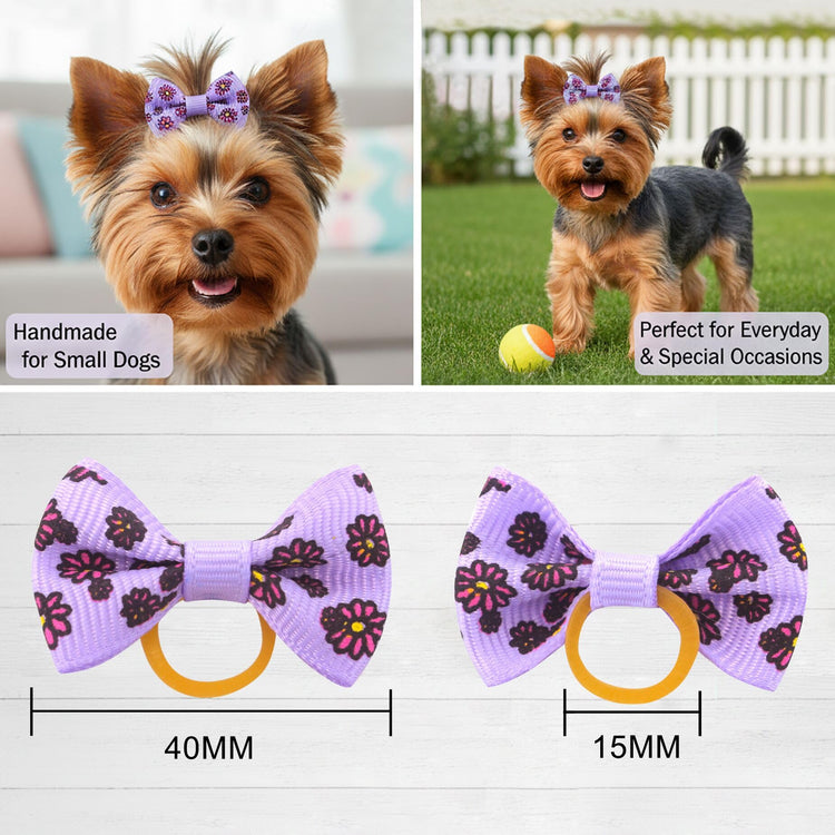 QingHan Dog Hair Bows Small Puppy Clips for Pet Grooming Accessories Doggy Gifts 60Pcs (30 Pairs)