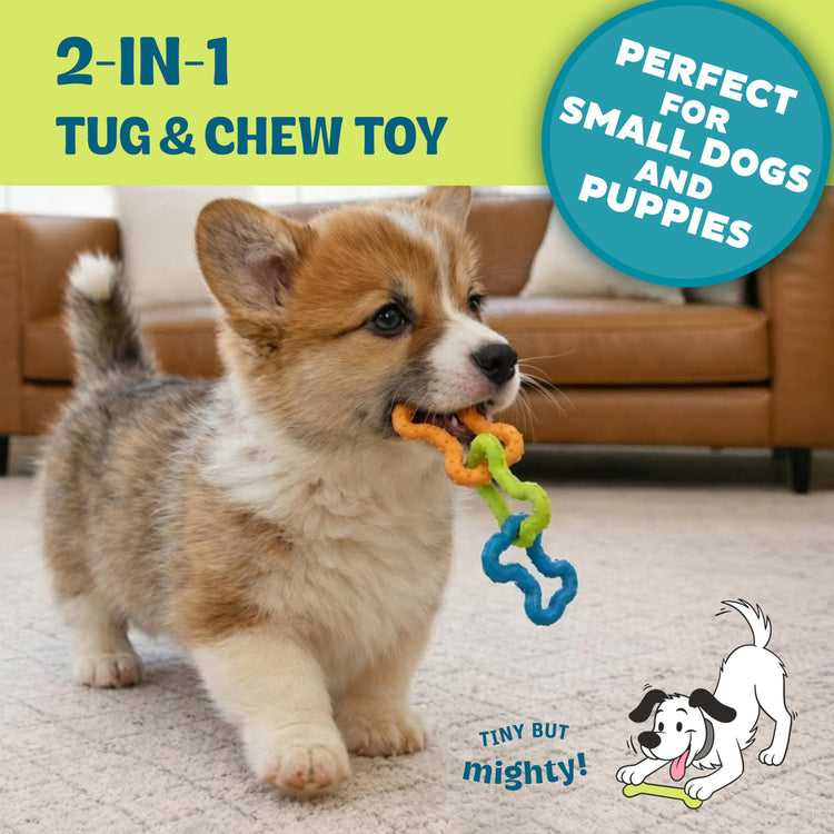 Cutie Chewies Hedgehog Dental Dog Chew Toy — Multi-Textured, Massages Gums, Floats & Bounces for Teething Puppies & Small Dogs, 5" x 3.5" x 1"