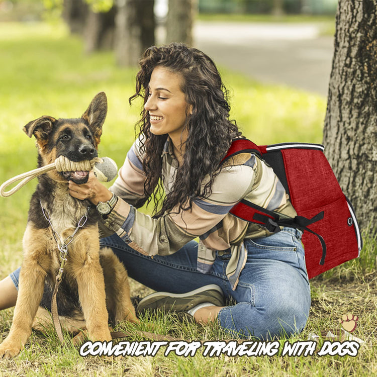 BAGLHER丨Dog Travel Bag Backpack, Airline Approved Pet Supplies Backpack, Dog Travel Bag with 2 Silicone Collapsible Bowls and 2 Food Baskets, Black