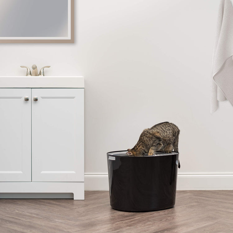 IRIS USA Cat Litter Box Large Open Top with High Sided Walls Tall Scatter Shield Scoop Included Easy Clean Plastic Pan Stain Resistant for Big Cats Kittens Indoor Multi-Cat Households