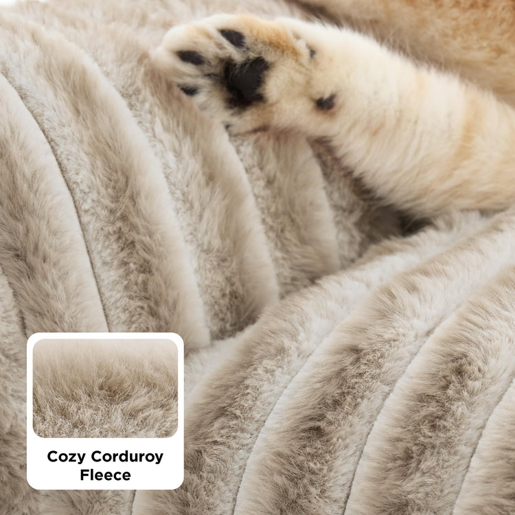Bedsure ComfyFleece™ Cute Cat Couch for Pets - As Seen on TV on Good Day New York, Fluffy Cats beds for Indoor Cats with Removable Washable Cover, Supportive Pet Sofa, 24inch, Cream