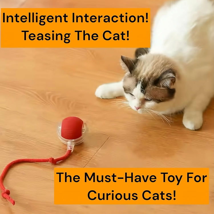 Purrmitive 2026 Durable Interactive Cat Toys for Indoor Cats, Dog Toys Ball, Rolling Pet Ball, Smart Automatic Cat Chase Balls Toy, Interactive Dog Toys Speedy Tail,Kitten & Cat Toys Interactive (Red)