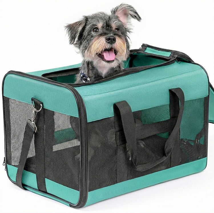 Conlun Cat Carrier Airline Approved, Soft-Sided Dog Carrier with Inner Safety Leash, Pet Transport Carrier for Small-Medium Cats Puppies up to 15 Lbs, Collapsible Travel Kitten Carrier Bag -BlackM