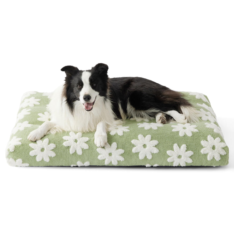 LE SURE Dog Beds Medium Size-Thick Shredded Chopped Foam Pet Bed as Gift for Indoor with Removable Cover, Cute Modern Fuzzy Plush & Anti Slip Bottom, Green