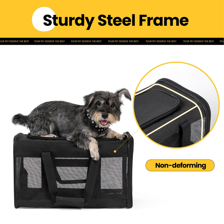 Conlun Cat Carrier Airline Approved, Soft-Sided Dog Carrier with Inner Safety Leash, Pet Transport Carrier for Small-Medium Cats Puppies up to 15 Lbs, Collapsible Travel Kitten Carrier Bag -BlackM
