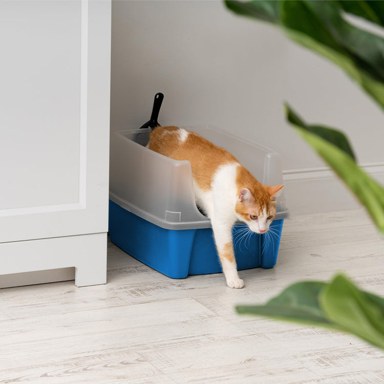 IRIS USA Cat Litter Box Large Open Top with High Sided Walls Tall Scatter Shield Scoop Included Easy Clean Plastic Pan Stain Resistant for Big Cats Kittens Indoor Multi-Cat Households