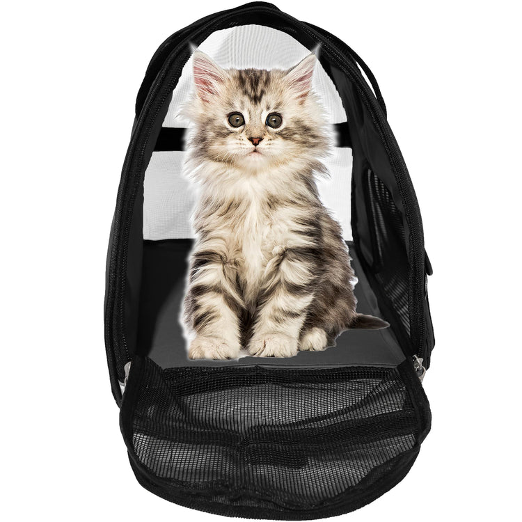 MuchL Pet Carrier Soft-Sided Carriers for Cat Carriers Dog Carrier for Small Medium Cats Dogs Puppies Pet Carrier Airline Approved Cat Dog Pet Travel Carrier (Small, Blue)