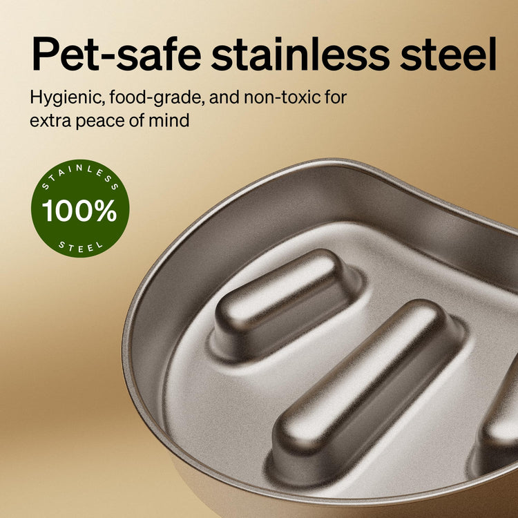 PETLIBRO Automatic Cat Feeder with Camera, 1080P HD & Night Vision, 5GHz/2.4GHz WiFi & Cam Smart Pet Feeder with App Control, 2-Way Audio, Motion Alerts for Cats & Dogs, Stainless Steel Single Tray