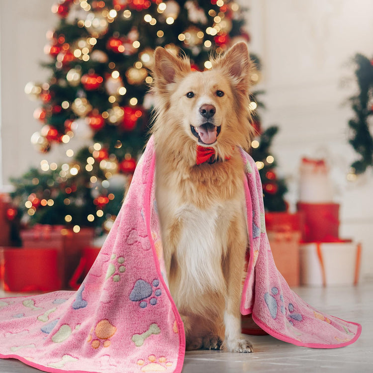 Dono 1 Pack 3 Dog Blankets, Soft Fluffy Fleece Pet Blanket Warm Sleep Mat Paw Print Design Puppy Kitten Throw Blanket Doggy Mat Blanket for Dogs